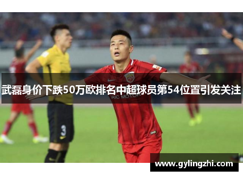 武磊身价下跌50万欧排名中超球员第54位置引发关注